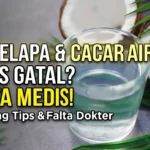 Air Kelapa untuk Cacar Air Anak: Mitos atau Fakta Medis?