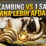 7 Kambing atau 1 Sapi untuk Patungan? Mana yang Lebih Afdal bagi Anda?