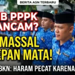 Nasib PPPK Terancam? Kepala BKN: Haram Pecat Pegawai Karena Alasan Tak Ada Duit