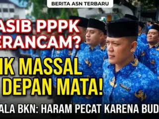 Nasib PPPK Terancam? Kepala BKN: Haram Pecat Pegawai Karena Alasan Tak Ada Duit