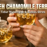 8 Rekomendasi Teh Chamomile Terbaik: Rahasia Tidur Nyenyak dan Tubuh Rileks