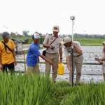 Urus Sertifikat Tanah Lewat PTSL? Yuk, Cek Rincian Biayanya di Sini