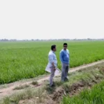 Jaga Pangan, Menteri Nusron Kawal Pembangunan Industri Indramayu