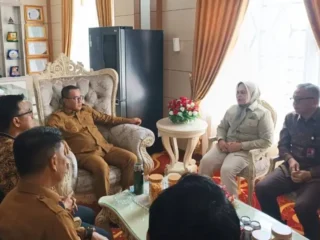 Wako Alfin Rangkul OJK dan DPD RI Demi UMKM Sungai Penuh Naik Kelas