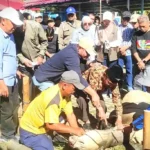 Semangat Berbagi, Pemkot Sungai Penuh Sukses Gelar Qurban Perdana 39 Ekor Sapi