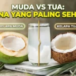 Kelapa Muda vs Tua: Mana yang Lebih Sehat untuk Tubuh?