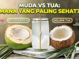 Kelapa Muda vs Tua: Mana yang Lebih Sehat untuk Tubuh?