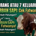 Kurban Sapi untuk 7 Orang atau 7 Keluarga? Ini Jawaban Benarnya