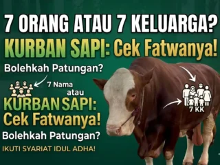 Kurban Sapi untuk 7 Orang atau 7 Keluarga? Ini Jawaban Benarnya