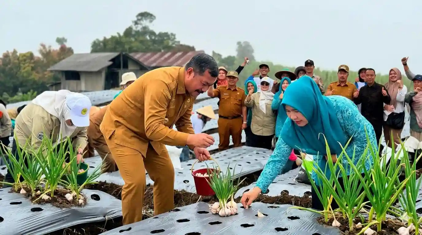 Bupati Monadi Buka Peluang Cuan Baru Bagi Petani Lewat Bawang Putih