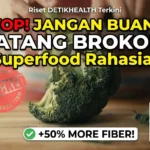Ini 8 Alasan Kenapa Harus Sering Makan Sayur
