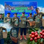 Festival Panen Rayo Kopi Robusta Tamiai Sukses Dongkrak Ekonomi Kerinci