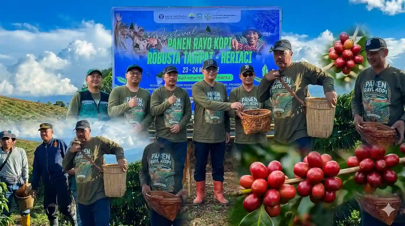 Festival Panen Rayo Kopi Robusta Tamiai Sukses Dongkrak Ekonomi Kerinci