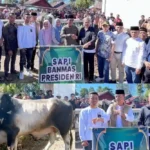 Sukacita Warga Gunung Raya Terima Sapi Kurban Bantuan Presiden RI