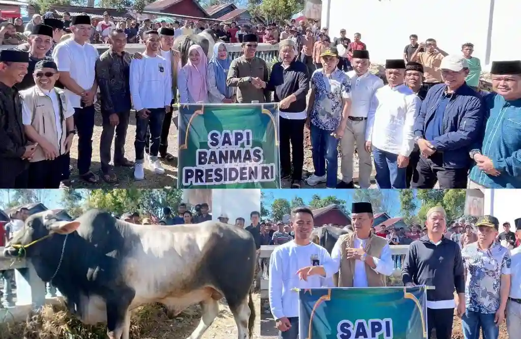 Sukacita Warga Gunung Raya Terima Sapi Kurban Bantuan Presiden RI