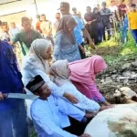 Idul Adha 1447 H: Dahkir Yahya Turun Langsung Potong 3 Sapi Kurban di Tanjung Muda
