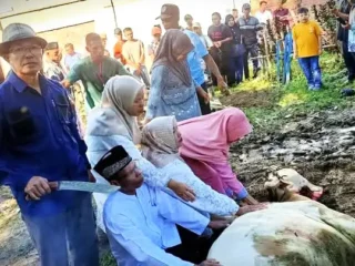 Idul Adha 1447 H: Dahkir Yahya Turun Langsung Potong 3 Sapi Kurban di Tanjung Muda