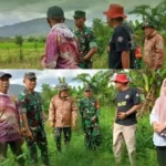 Dandim Kerinci Tinjau Cetak Sawah: Perkuat Pangan di 3 Desa