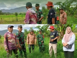 Dandim Kerinci Tinjau Cetak Sawah: Perkuat Pangan di 3 Desa