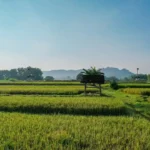Sertipikat Tanah Ulayat Jadi Benteng Kokoh Warisan Nagari Sitapa