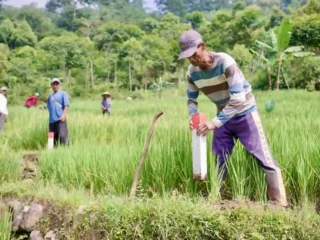 Pasang Patok, Cara Sederhana Cegah Sengketa Tanah dengan Tetangga