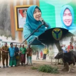 Hj. Hesnidar Haris Serahkan Langsung Sapi Kurban untuk Dua Desa