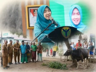 Hj. Hesnidar Haris Serahkan Langsung Sapi Kurban