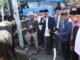 Wako Alfin dan Wawako Azhar Salurkan Sapi Kurban 842 Kg dari Presiden