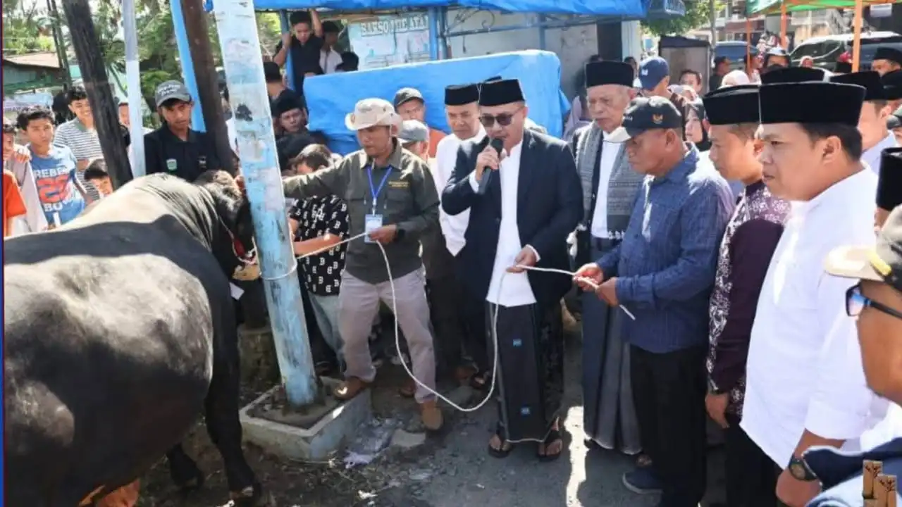 Wako Alfin dan Wawako Azhar Salurkan Sapi Kurban 842 Kg dari Presiden