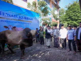 Serahkan Hewan Kurban ke Ponpes Darunnajah, Menteri Nusron: Iduladha Jadi Momentum Mempererat Kebersamaan