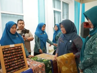 Kunjungi Rumah Dilan Madani, Hesti Haris Kagumi Produk Lokal Tanjabbar