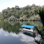 Hutan Adat Lekuk Limapuluh Tumbi Lempur Raih Penghargaan Hutan Adat Terbaik di Jambi