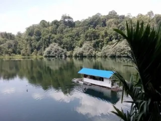 Hutan Adat Lekuk Limapuluh Tumbi Lempur Raih Penghargaan Hutan Adat Terbaik di Jambi