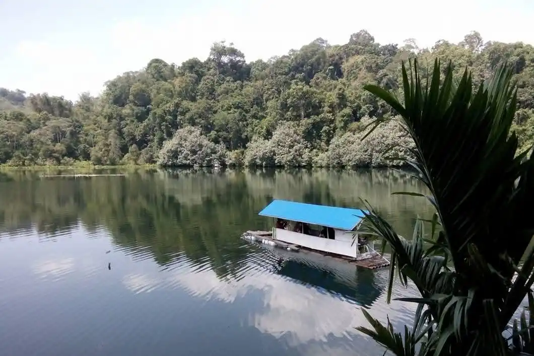 Hutan Adat Lekuk Limapuluh Tumbi Lempur Raih Penghargaan Hutan Adat Terbaik di Jambi