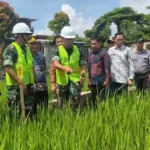 Lahan Rawa Kini Dioptimalkan, Wako Alfin Apresiasi Dukungan TNI
