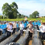 Langkah Nyata Jambi Tekan Impor Bawang Putih dan Dongkrak Ekonomi Petani