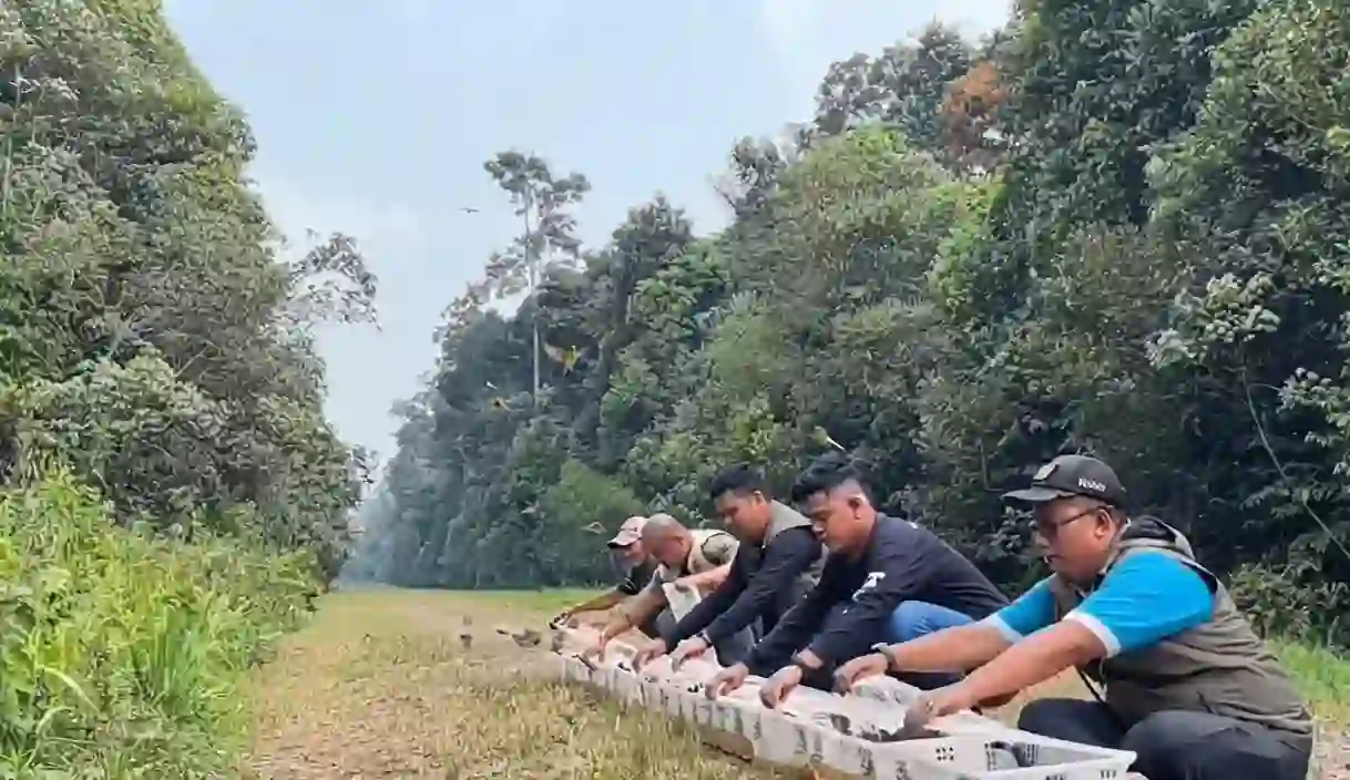 Burung Selundupan Asal Kerinci Diamankan BKSDA Jambi