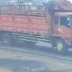 Tabrak Lari Maut di Batanghari, Keluarga Tuntut Keadilan