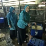 Penilaian Lapangan Lomba PKK Kota Sungai Penuh 2026, Wujudkan Ketahanan Pangan Lewat Halaman Asri