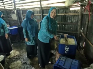Penilaian Lapangan Lomba PKK Kota Sungai Penuh 2026, Wujudkan Ketahanan Pangan Lewat Halaman Asri