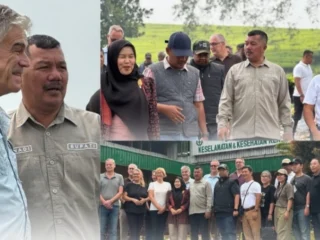 Harga Kulit Manis Anjlok, Bupati Monadi Gandeng Buyer Eropa Demi Petani Kerinci