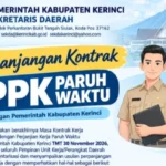 Ini Syarat dan Jadwal Perpanjangan Kontrak PPPK Paruh Waktu Kerinci