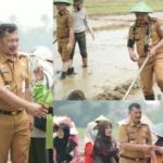 Pemkab Kerinci Genjot Ketahanan Pangan Lewat Tanam Perdana Padi Sawah Metode PM-AAS