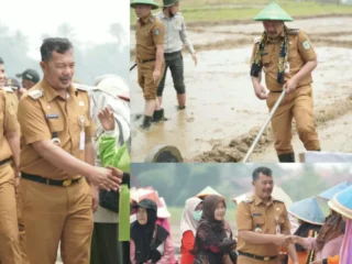 Pemkab Kerinci Genjot Ketahanan Pangan Lewat Tanam Perdana Padi Sawah Metode PM-AAS