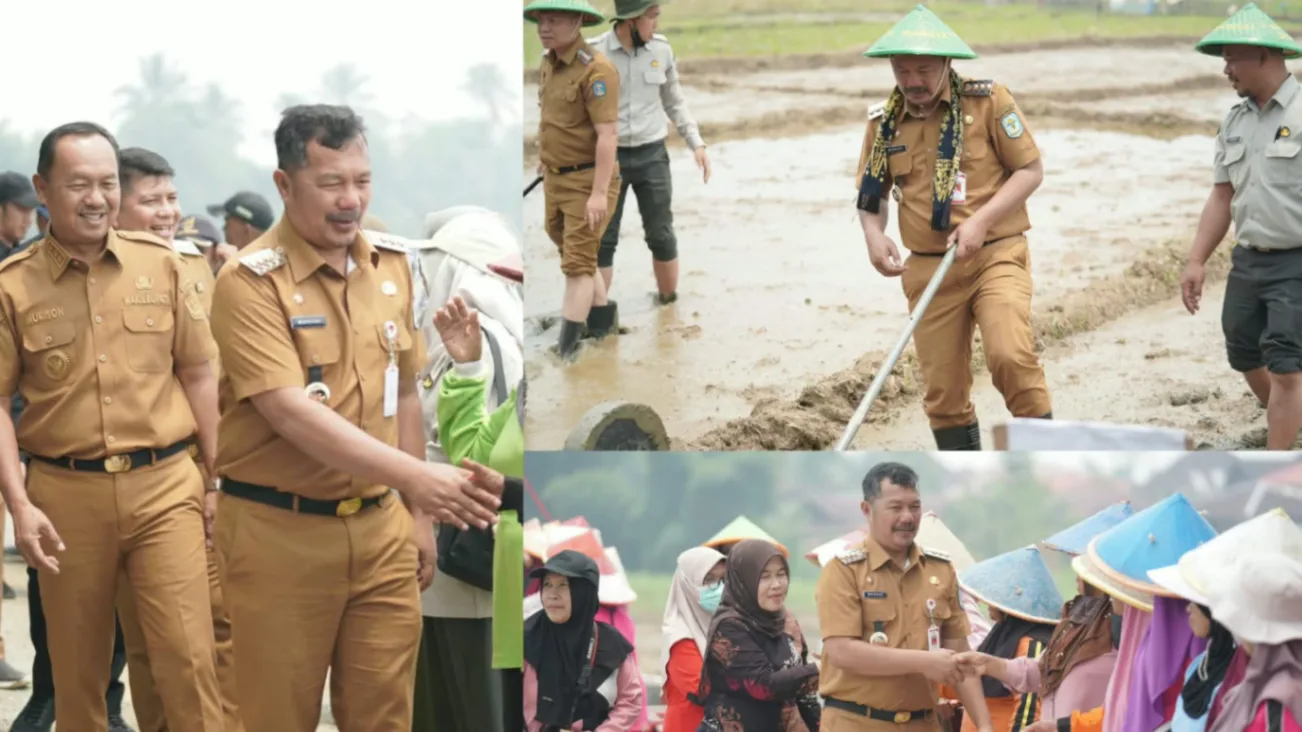 Tanam Perdana Padi Sawah Metode PM-AAS
